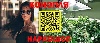mdma Аргун