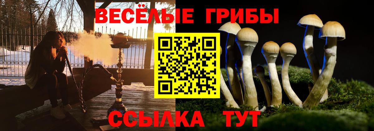 наркота  Вход с VPN  Верхняя Пышма  Галлюциногенные грибы мицелий 
