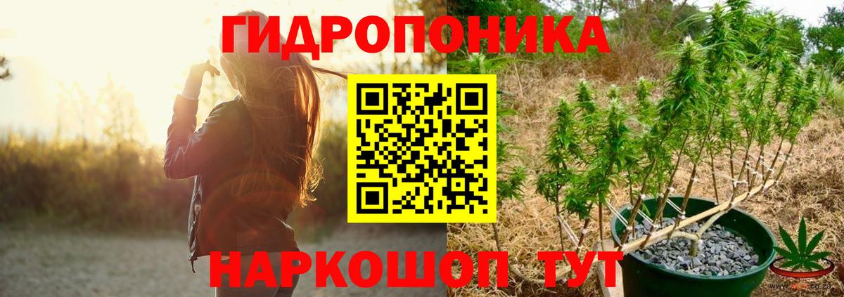 Конопля тримм  Вход с VPN  Верхняя Пышма  Канабис AK-47  Каннабис Amnesia 